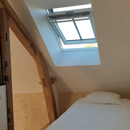 Bed and breakfast Près De La Flèche Avec Animaux Acceptés - Fr-1-410-474 Cre-sur-Loir