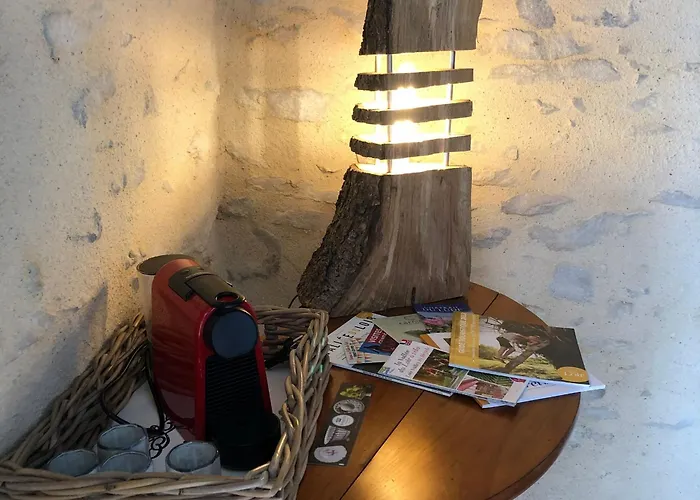 Pres De La Fleche Avec Animaux Acceptes - Fr-1-410-474 *